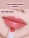 Тінт - волюмайзер для губ  В наявності  Залишити відгук Glow Melting Balm ROSE PERFECTION 00120 фото 2