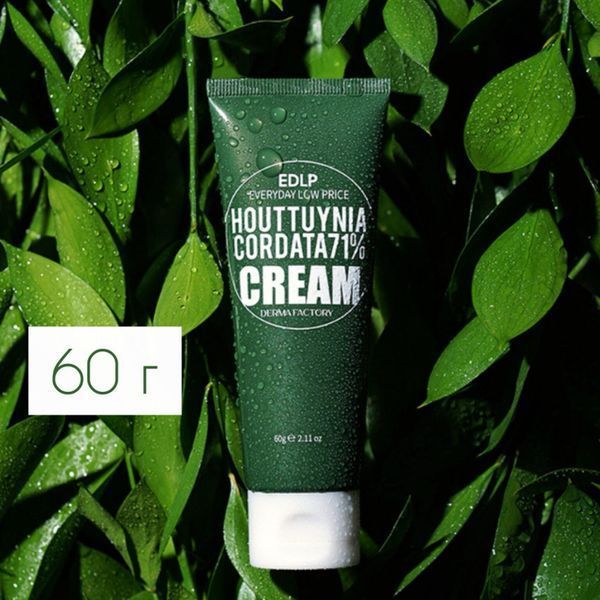 Крем для обличчя з екстрактом квітки хауттюйнії Houttuynia Cordata 71% Cream Derma Factory 00030 фото