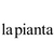 LA PIANTA